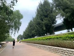 -宝安西湾红树林湿地公园