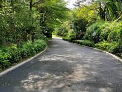 -金鸡山公园