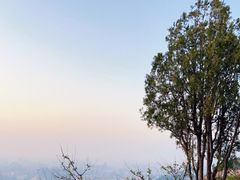 -佛慧山