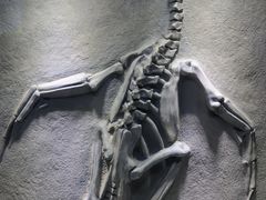 -重庆欢乐海底世界