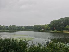 -北坞公园