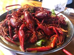 -托乐嘉美食广场(托乐嘉街区店)