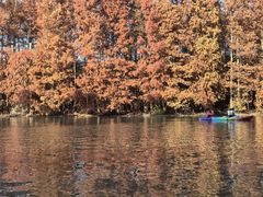 -上海海湾国家森林公园