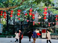 -垂虹公园