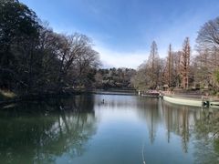 -井之头恩赐公园