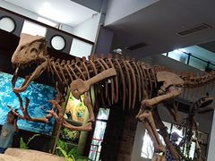 -自贡恐龙博物馆