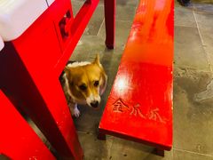-重庆金爪爪特色干锅(大竹林直营店)