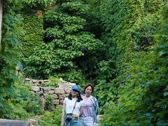 -枸杞岛