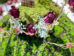 -精绝七日-新疆尼雅遗址数字大展【拉法耶文化艺术中心】