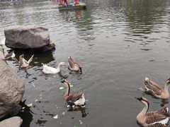 -西安秦岭野生动物园