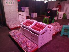 -双福水果批发市场