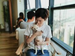 -柴犬小屋·柴餐厅·狗咖食堂(金鼎广场店)