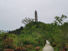 -巢湖姥山岛