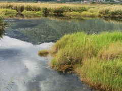 -腾冲北海湿地