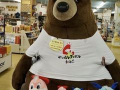 -(株)越後屋デパート