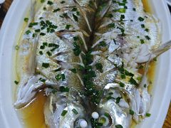 -呼吸森林·生态农庄农家乐私房菜