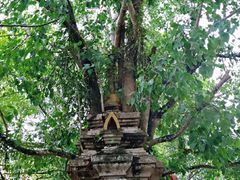 -西双版纳勐泐文化旅游区