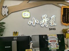 -小荧星艺校(大宁分校)