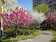 -丰台花园