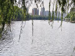 -沈阳南湖公园