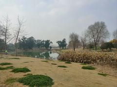 -两河城市森林公园