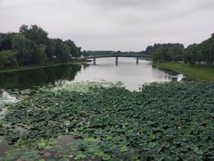 -陈记锅盖面(长江路店)