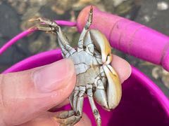 -宾朋海鲜美食餐厅·特色美食(兴海路店)