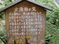 -三千院