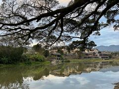 -云水谣景区