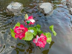 -红螺寺