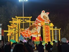 -伊犁河风景区