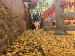 -浮来山风景区