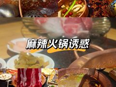 -老版火锅(半坡店)
