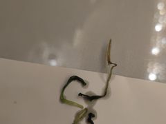 -中国徽菜·徽商故里(远大店)