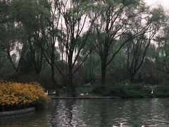 -洛阳市隋唐城遗址植物园