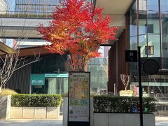 -南山八号火锅(曲江创意谷店)