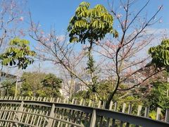 -福道