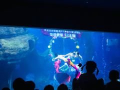 -多彩贵州城极地海洋世界