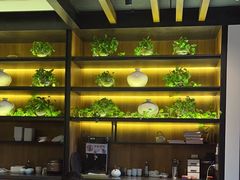 -小厨娘淮扬菜(清江苏宁广场店)