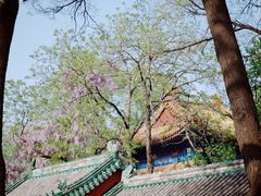 -北京国子监胡同