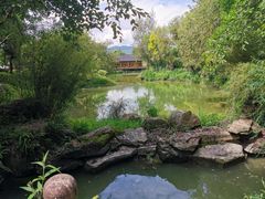 -和顺柏联温泉