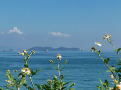 -小桂湾