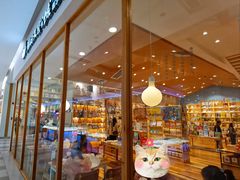 -猫的天空之城概念书店(印象城购物中心店)