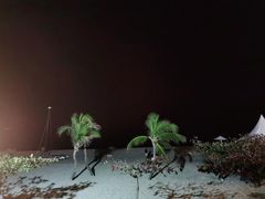 -渔家火锅·海鲜自助餐·演艺(亚龙湾天域酒店)