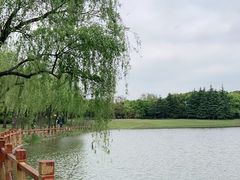 -黄兴公园