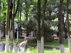 -艾溪湖湿地公园