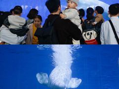 -泉城欧乐堡梦幻世界