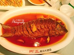 -阿五黄河大鲤鱼(英协路店)