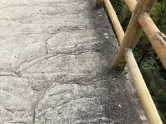 -罗田天堂寨风景区