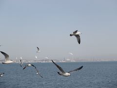 -大连海昌东方水城